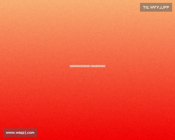 维萨加盟纽卡斯尔接近达成协议 转会谈判进入关键阶段