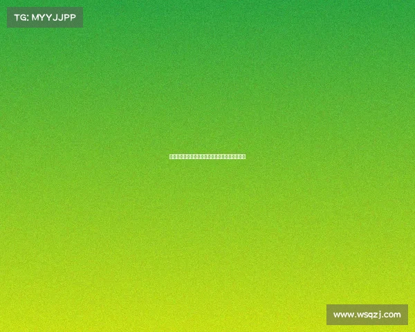 法甲冠军荣耀之路:回顾赛季最佳表现与未来挑战